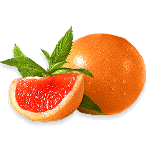 Grapefruit PNG-15256